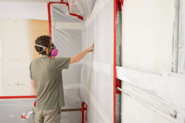Best Post-Construction Mold Inspection  in Meridian Hills, IN