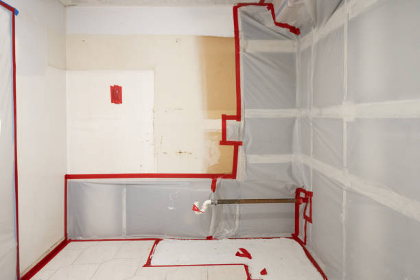 Best Mold-Related Health Consultation  in Meridian Hills, IN